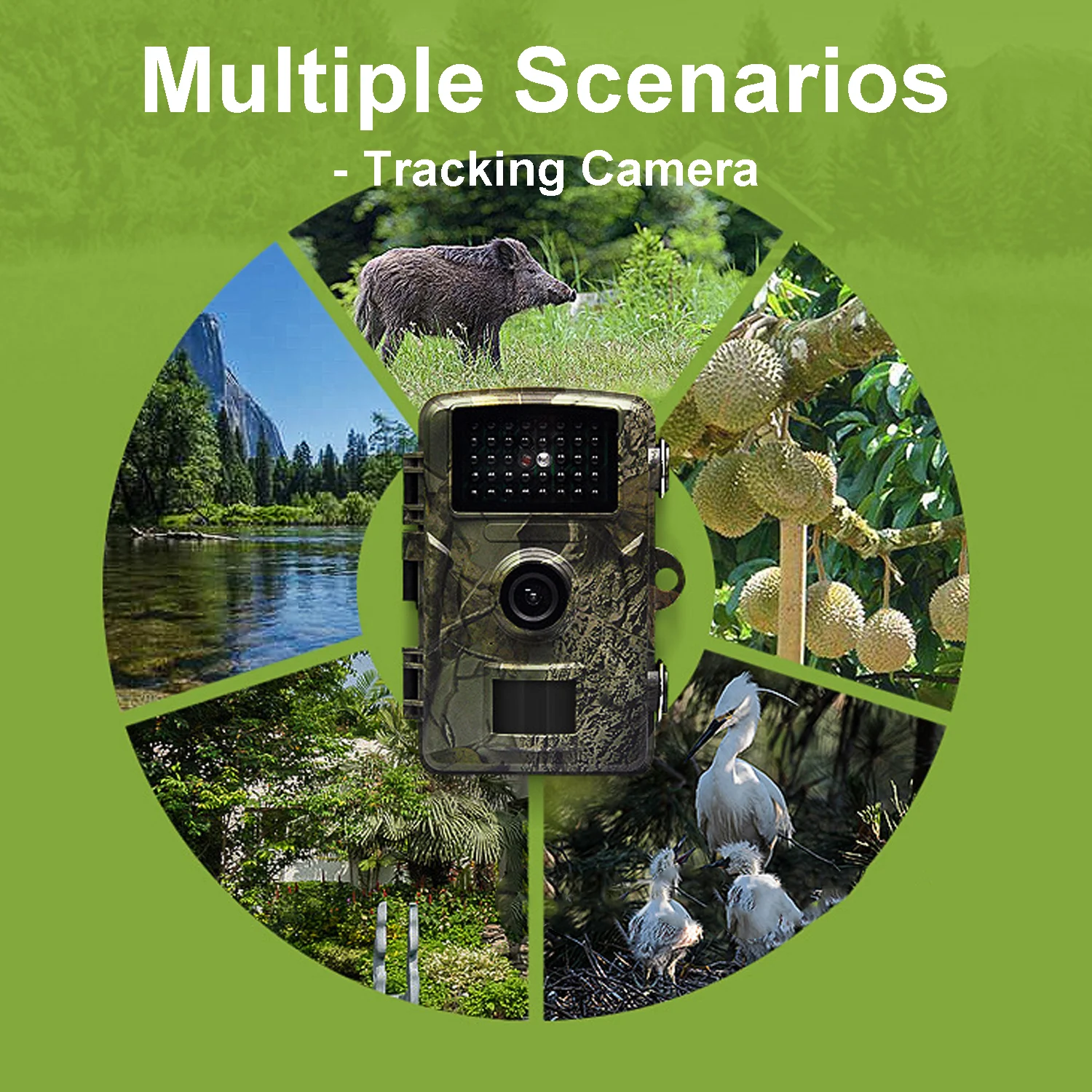 Wildlife Trail Camera with 2-Inch Screen, PIR Motion Sensor, 0.8s Trigger, Supports 32GB Card, ABS Material in Camouflage Green,