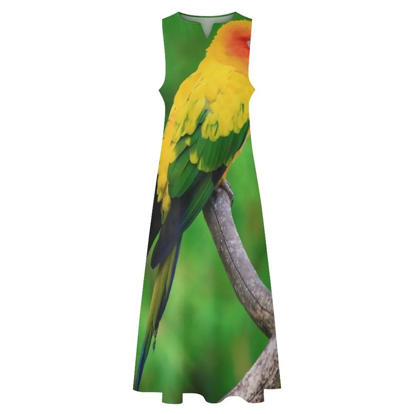فساتين Sun Conure Parrot Photo فستان طويل للنساء فساتين حفلات نسائية 2025