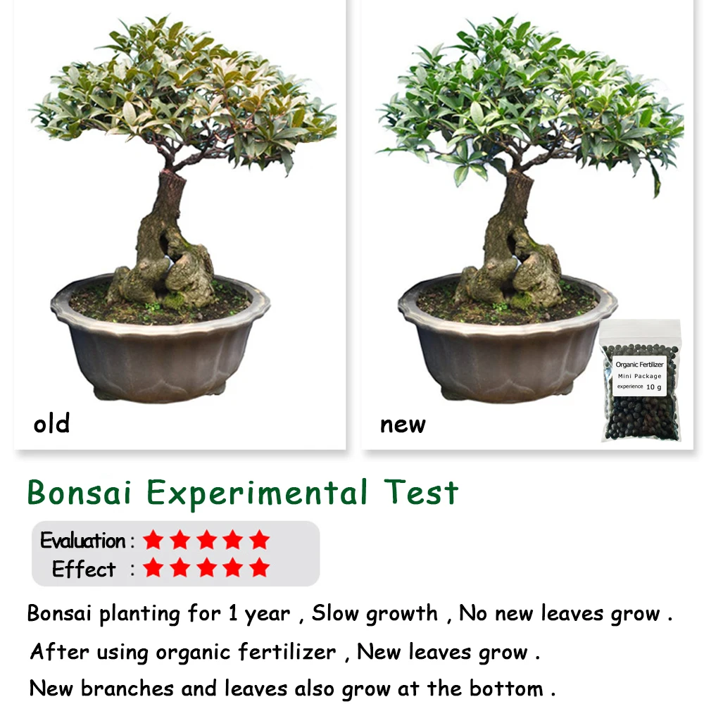 10 جرام سماد عضوي حزمة صغيرة خضراء للأغراض العامة آمنة وخالية من التلوث استخدام زهرة أغذية نباتية لحديقة بونساي