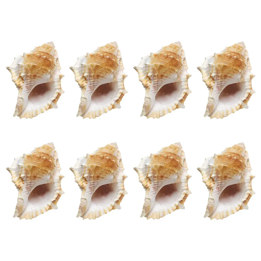 

8Pcs Natural Sea Shell Conch Decoration Smooth Edges for Fish Tank Aquarium Craft DIY Home Floral Vase Filling Nautical Ornament