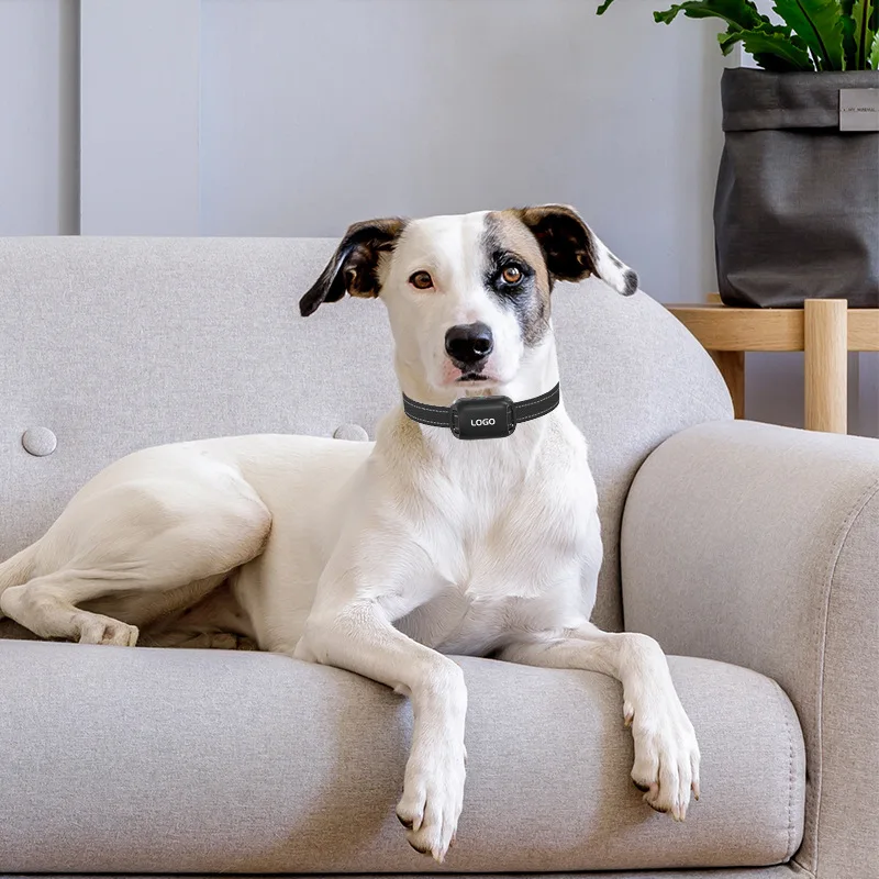 

Интеллектуальное устройство для остановки лая для дрессировки собак, перезаряжаемый электронный ошейник для домашних животных, водонепроницаемое устройство, вибрационный электрический тренажер для собак