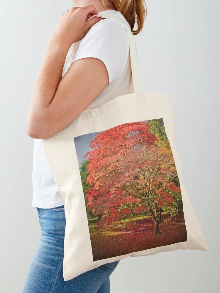 

Autumn Acer Tree Westonbirt Arboretum Cotswolds Tote Bag Custom bag tote bag men tote custom Women's handbag