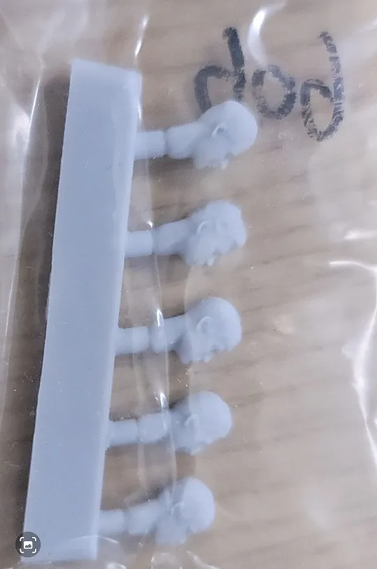 Buyer photo of this resin kit