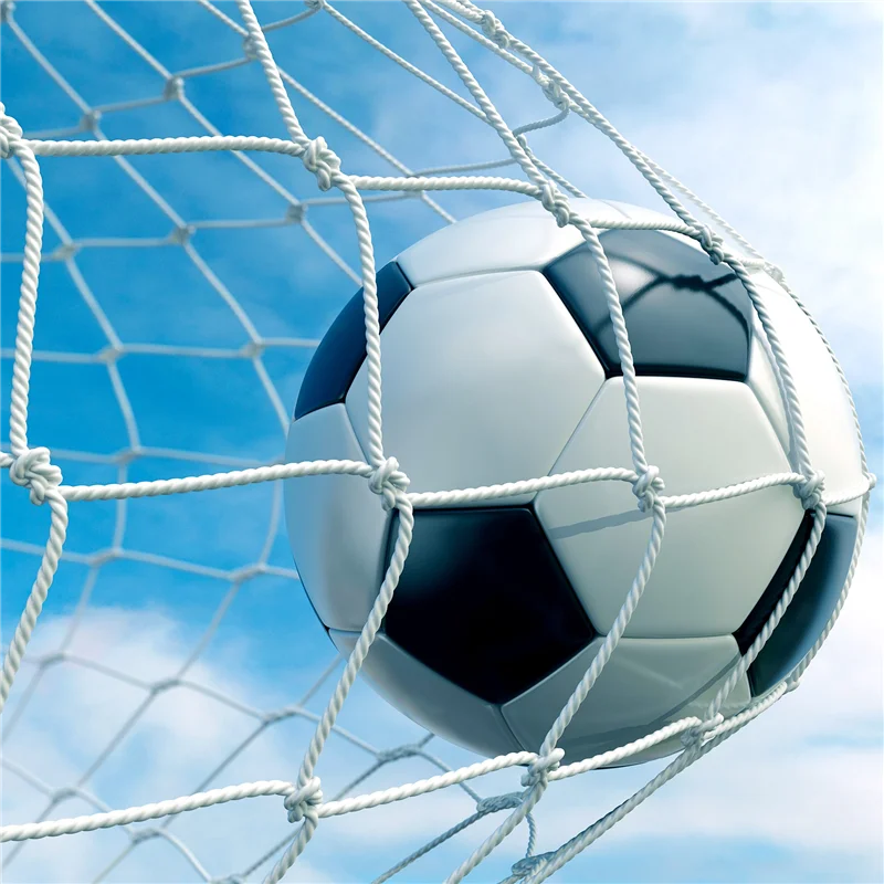 ABHS-24X8FT شبكة هدف كرة القدم بالحجم الكامل، شبكة تدريب كرة القدم الرياضية في الفناء الخلفي