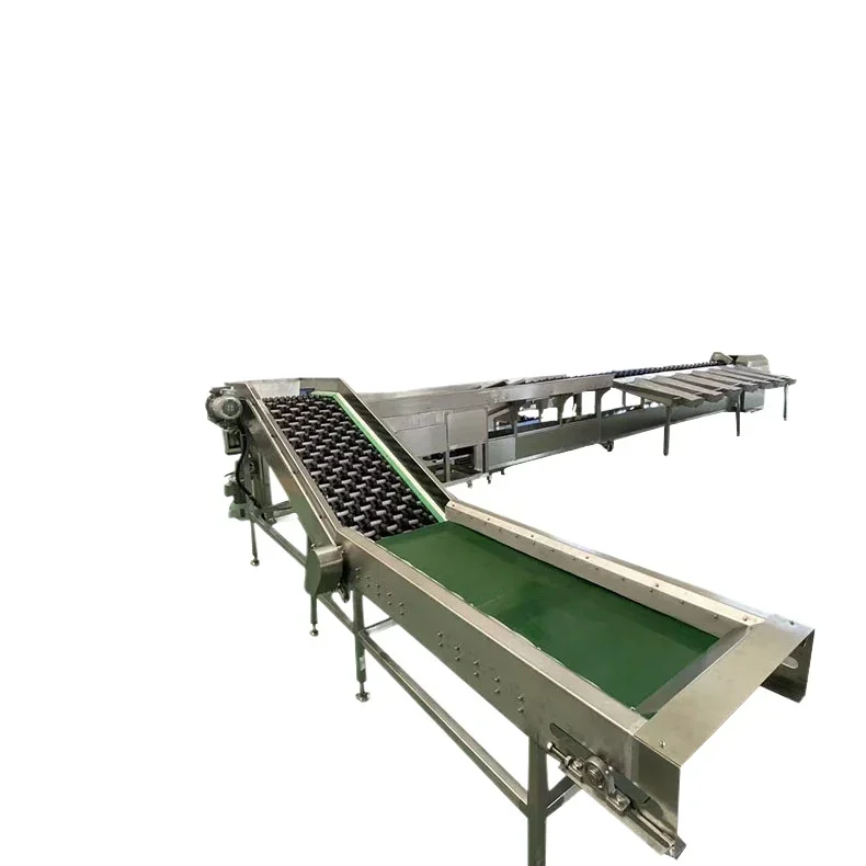 Smistatrice intelligente per frutta