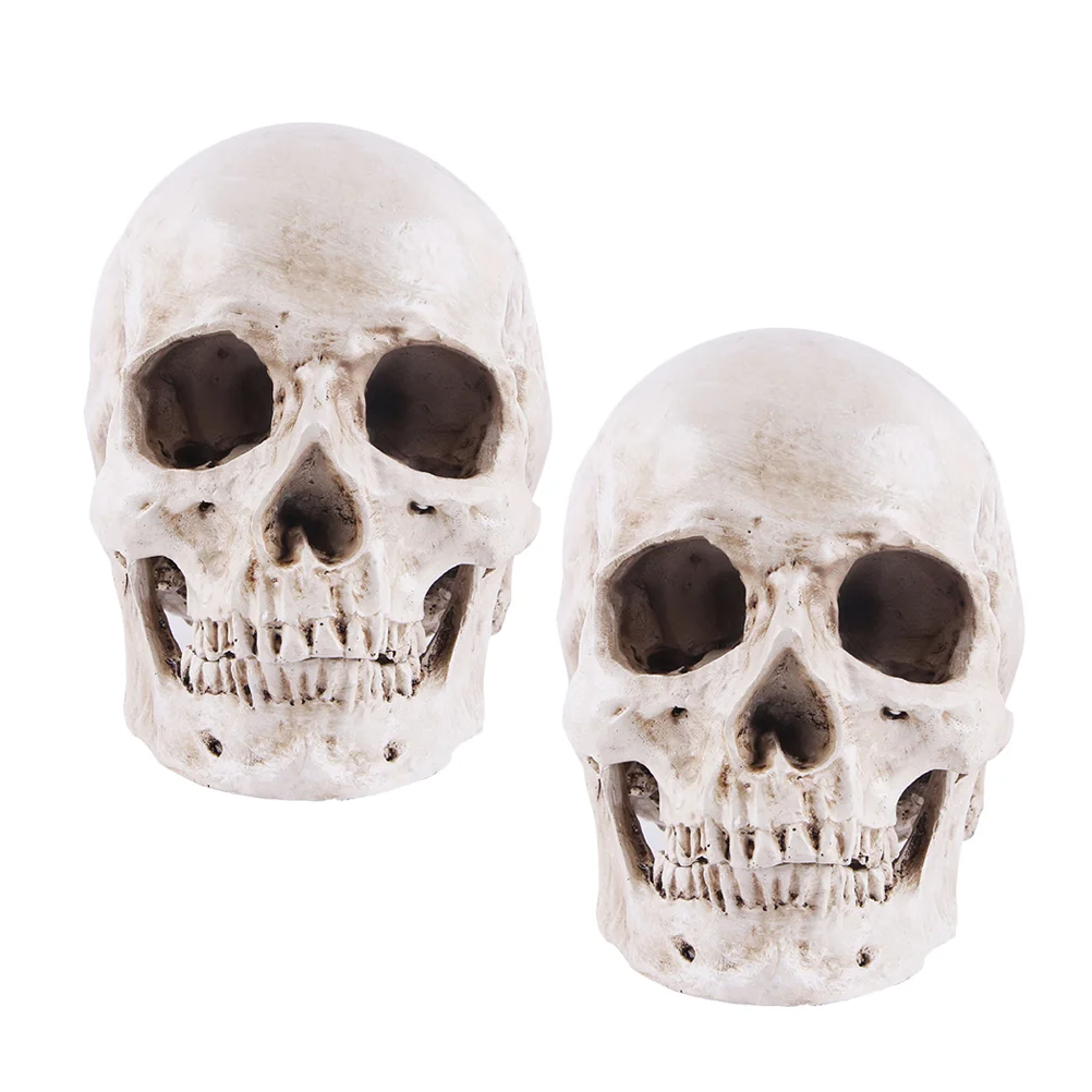 Halloween Decoration Human Skull Head Statue Replicate for Science Model Aldult