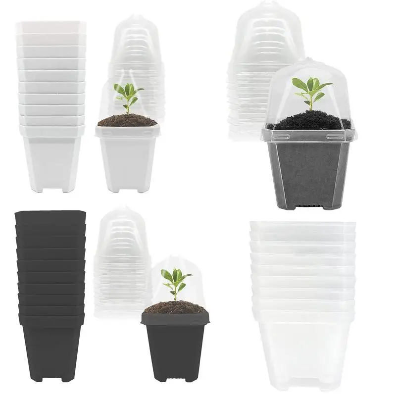 

Transparent Flower Pot Plastic Plant Pots Flower Plant Container With Drainage Holes Transparent Vegetable Water Planting Vase