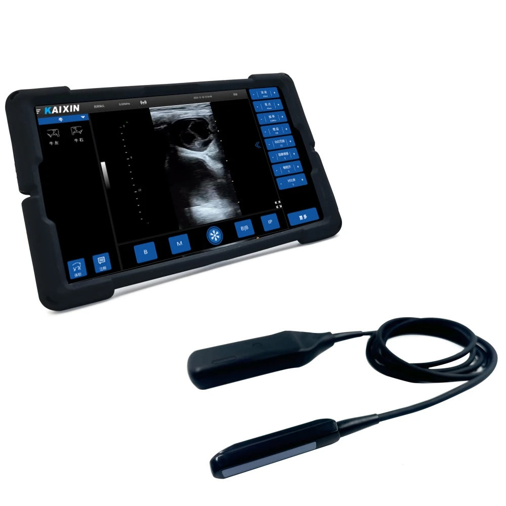 Kaixin K6 5G WIFI Wireless Veterinary Big Animal Cattle Horse Cow Sheep Transrectal Probe Ultrasound Scanner Machine