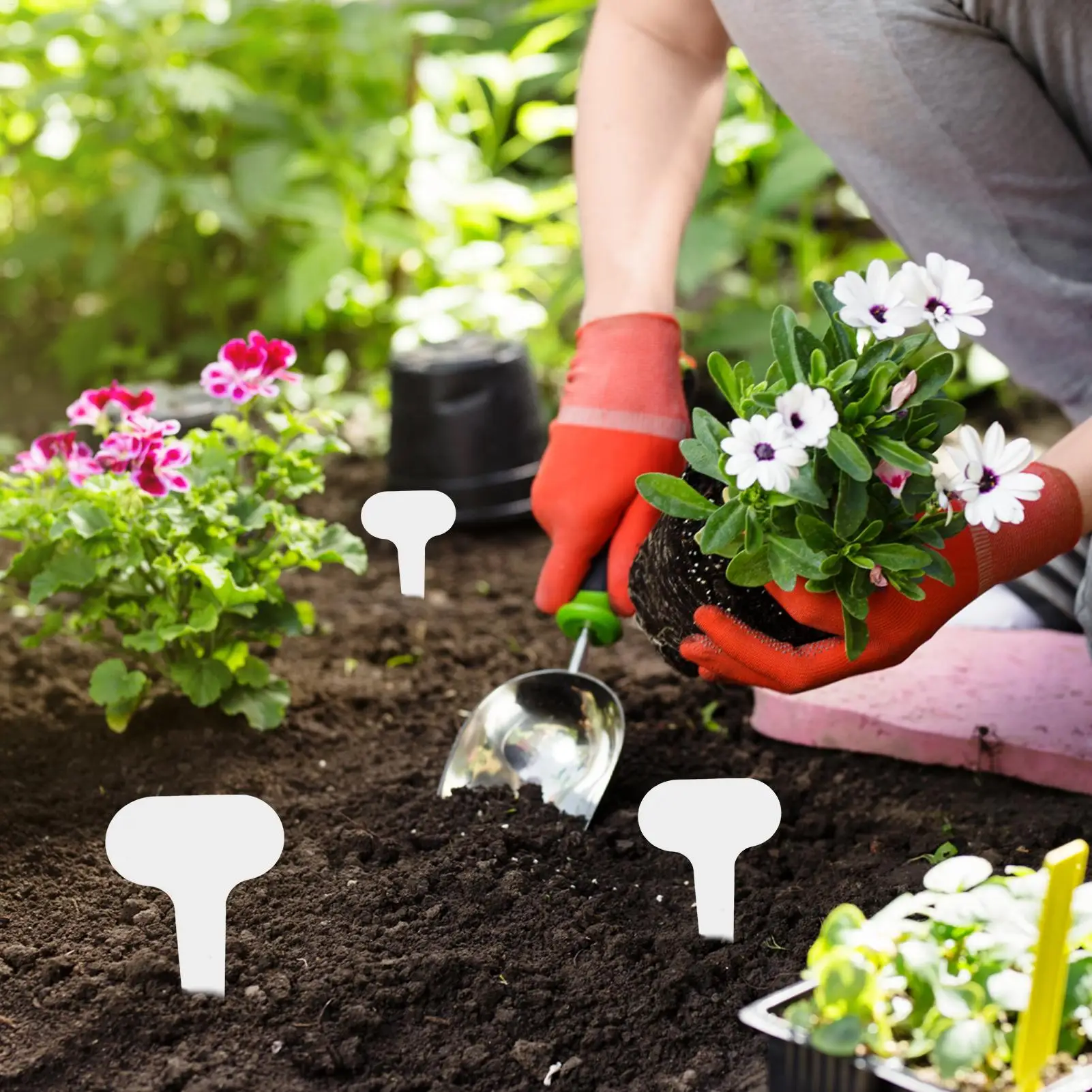 100 Stück Garten-Pflanzenetiketten PVC Topfpflanzen-Markierungen Garten-Tags Gemüseetiketten für Blumenbeete Blumentöpfe Sträucher Gärtner