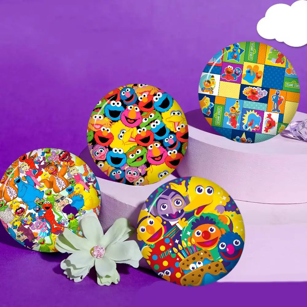 Cartoon S-Sesame S-Streets Anime Button Pin Handmade Brooch for Clothes Cartoon Badge Backpack Decoration Jewelry Accessories