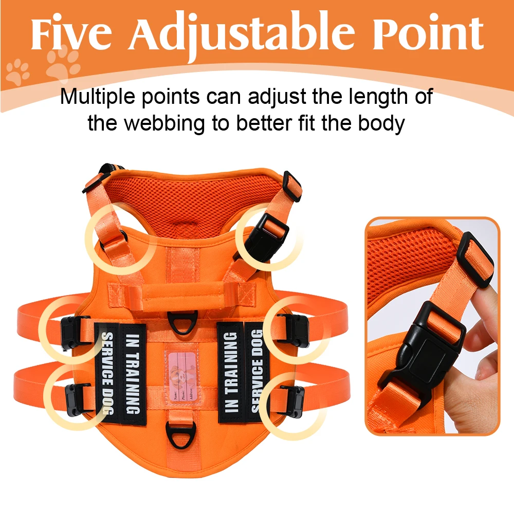 Service-Hundeweste, kein ziehe – No Pull Dog Harness Bewertung und Preis