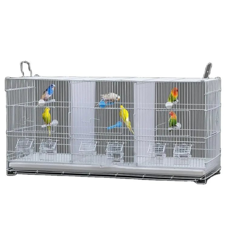 High Quality three space bird cages can be kept separately Multi space bird cage heavy duty Wire Steel breeding parrot cage