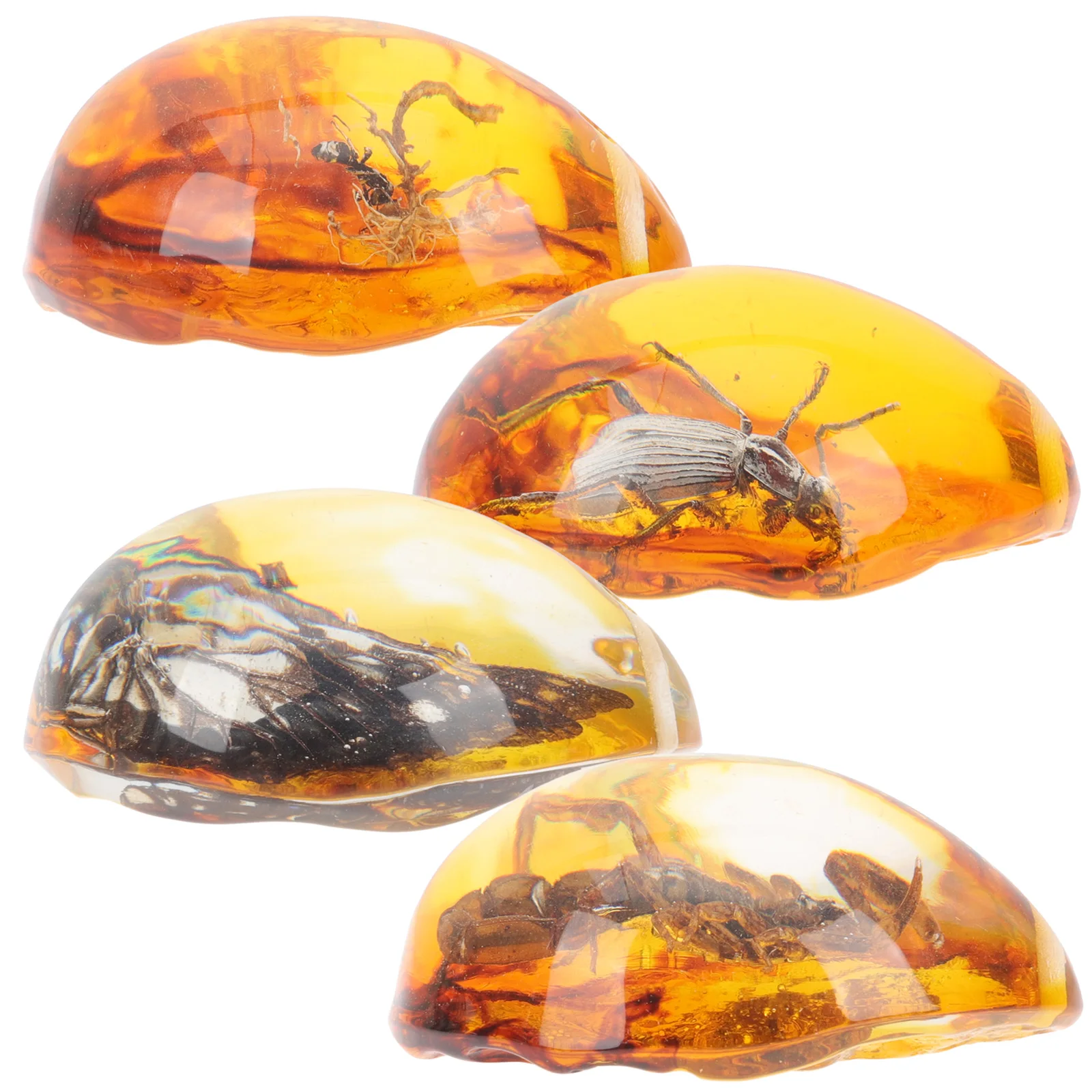 

4 Pcs Decorate Insect Amber Specimen Decoration for Synthetic Resin Ornaments