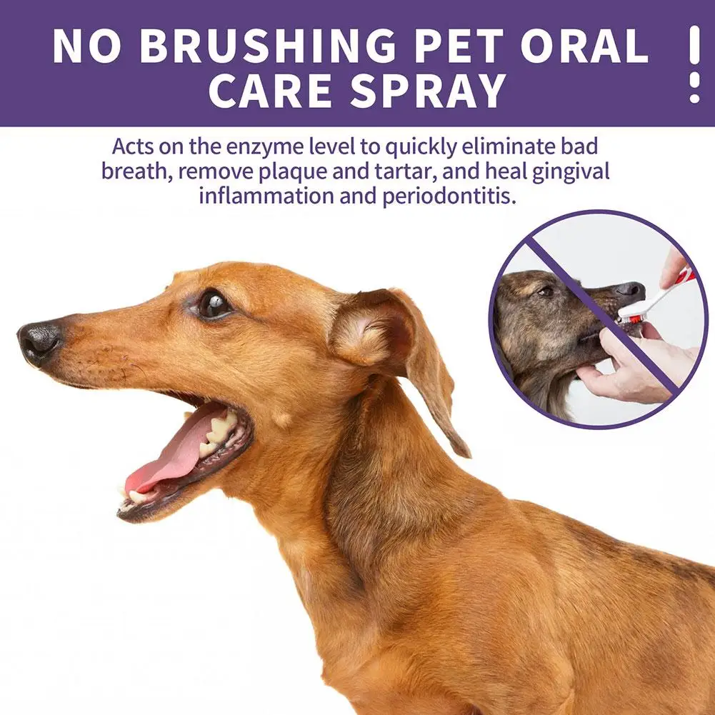 Pet Oral Cleaning Spray Dogs Cats Tooth Cleaning Prevent Pet Oral Breath Calculus Bad Oral Removal Care Dental Fresh Deodor Z9K3