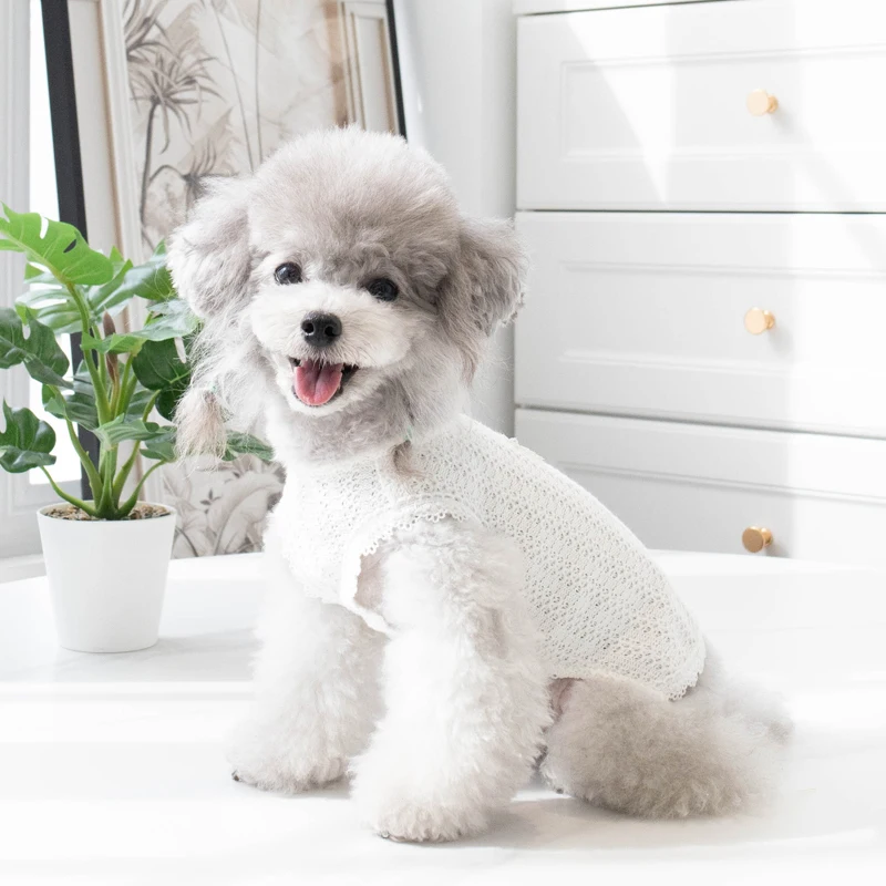 Chaleco para perros y gatos, ropa para cachorros, Yorkie, Pomerania, caniche maltés, Bichon Frise, Schnauzer, ropa para perros, primavera y otoño
