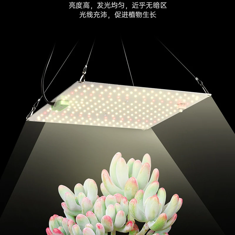 65-120W Quantum Board Plant Fill Light Timed Dimming Plant Growing Lamp Full Spectrum Calcium Supplement Professional Lights Hot