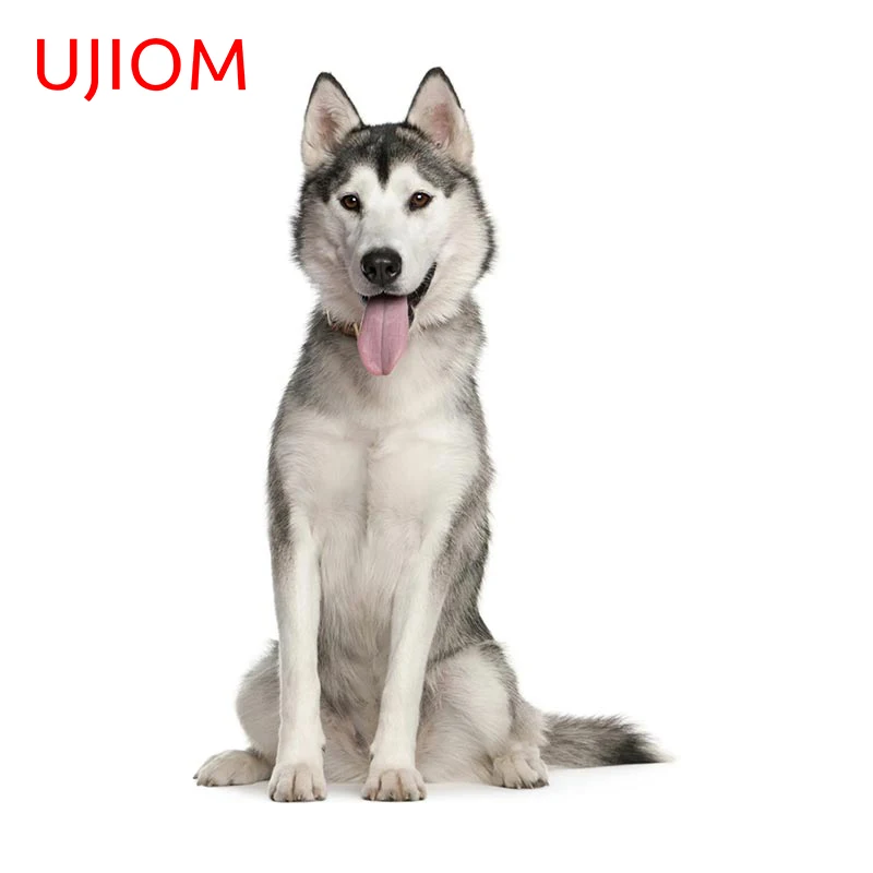 UJIOM 13cm X 8.6cm Siberian Husky Dog Stickers Waterproof Wall Decal Kitchen Living Room Sticker Room Interior Exterior Decor