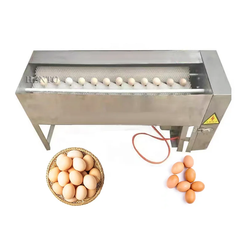 Customized Brush Roller Egg Washing Machine Automatic Chicken Egg Cleaning Equipment For Poultry Farm Egg Processing