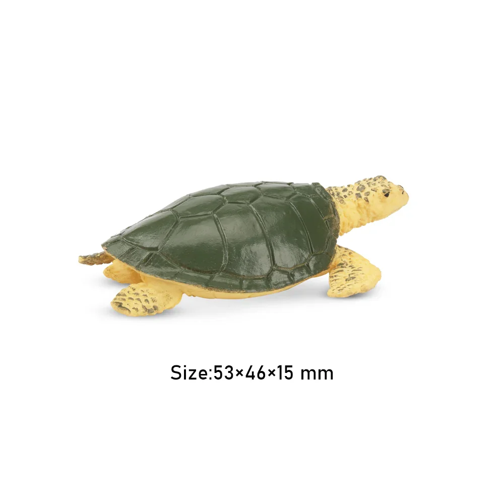 Toymany จําลองเต่าทะเล Ocean สัตว์ของเล่นมินิตัวเลขตุ๊กตา Action Figurines ของเล่นเด็กของขวัญตกแต่งเค้ก