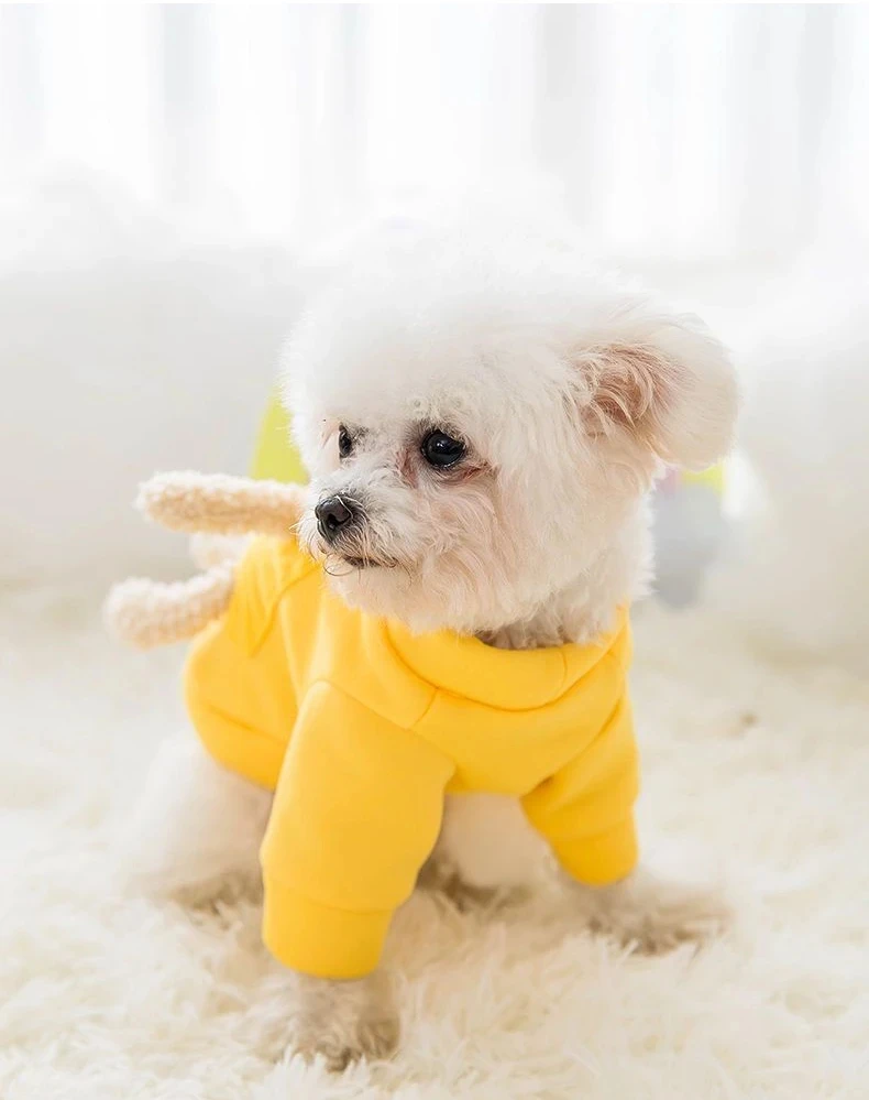 New Autumn and Winter Dog Jersey Sweater Spring Cat Cute Bear Pet Dog Clothes for Small Dogs Chihuahua Teddy Yorkies