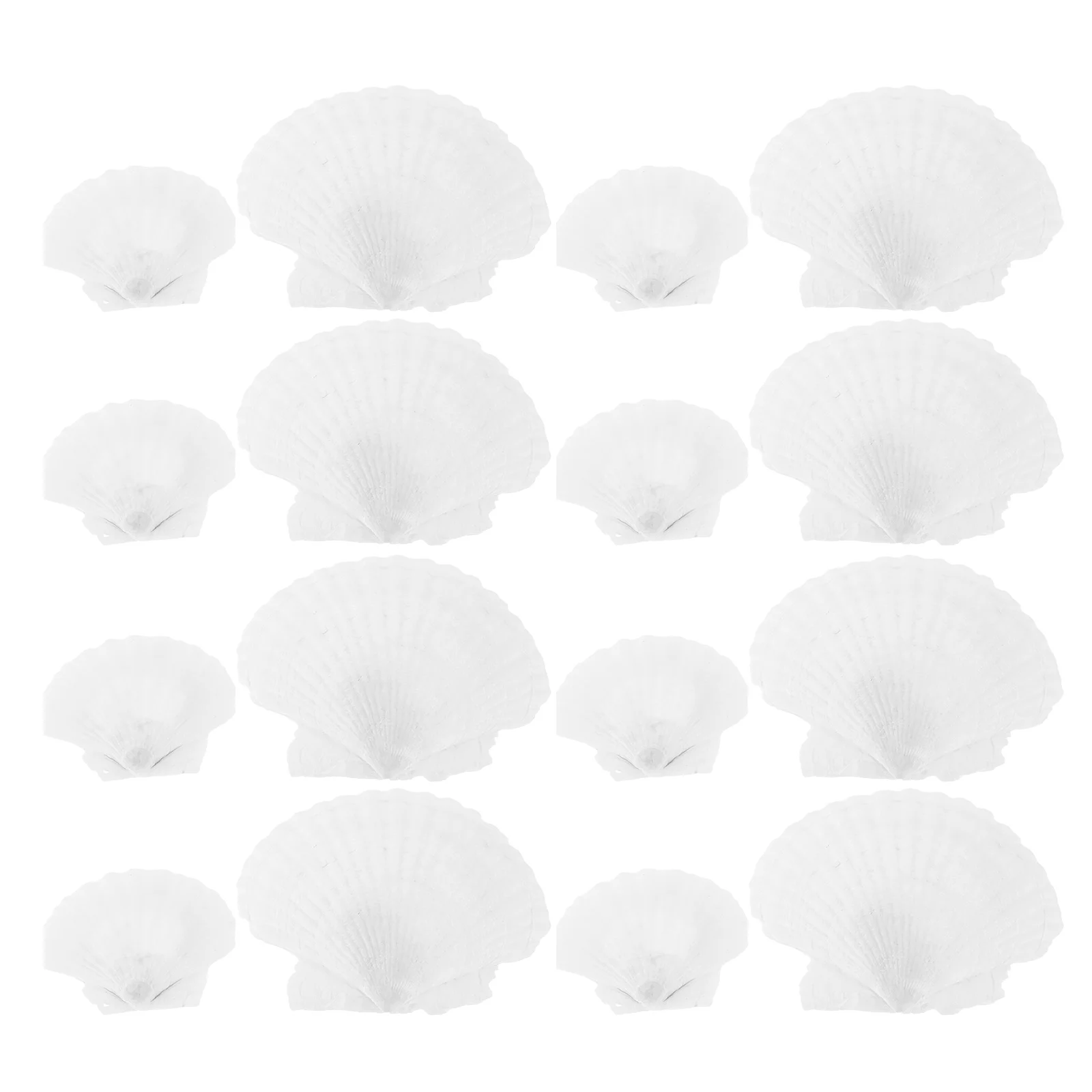 

18Pcs Natural Scallop Shells Large Decorative Seashells for DIY Painting Baking Beach Wedding Coastal Decor Painting Shells
