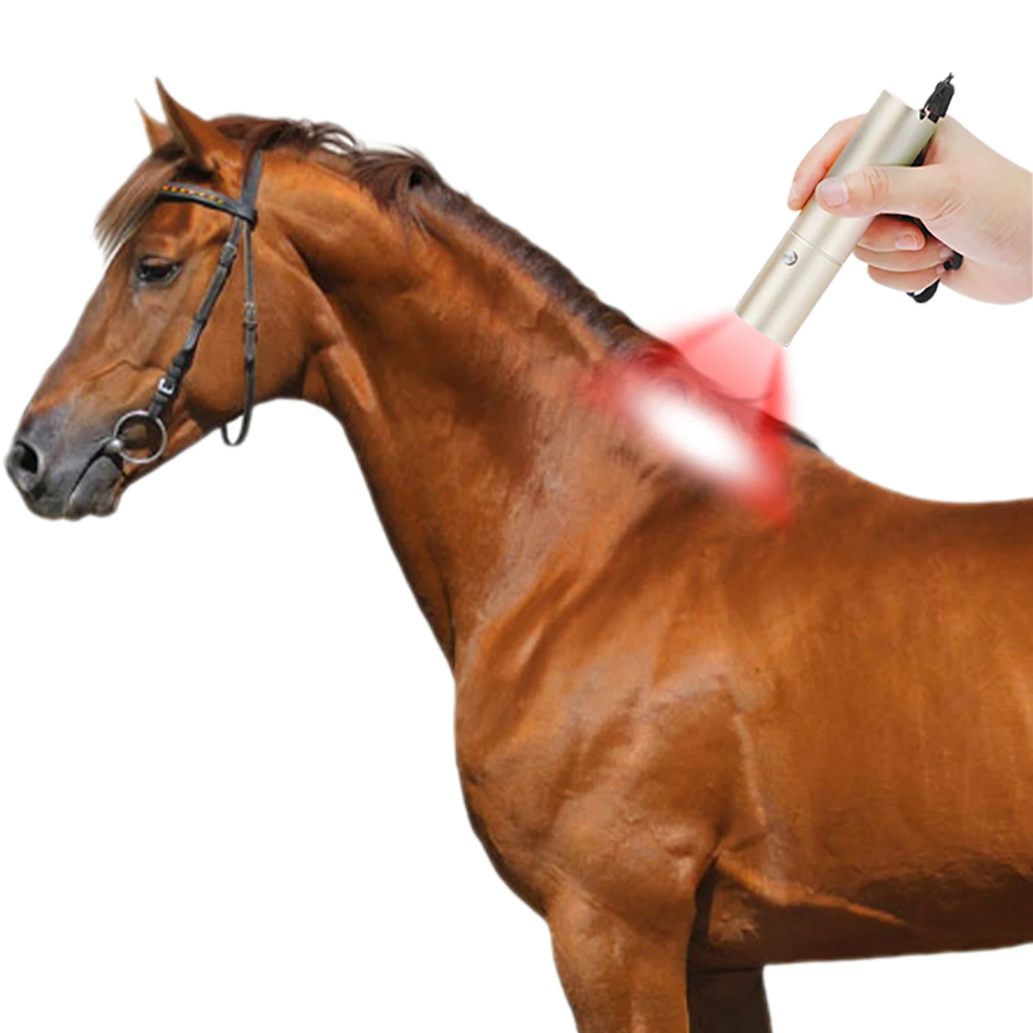5 Wavelength 460 630 660 850 940nmed Near Infrared LED Light Therapy Pen Red Light Therapy Torch for Pain Relief