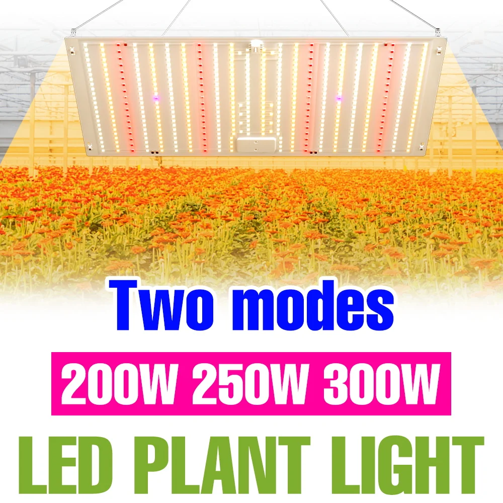 

300W Full Spectrum LED Plant Grow Light 220V Quantum Board Indoor Seedings Planting Lamp Greenhouse Tent Vegs Cultivate Lighting