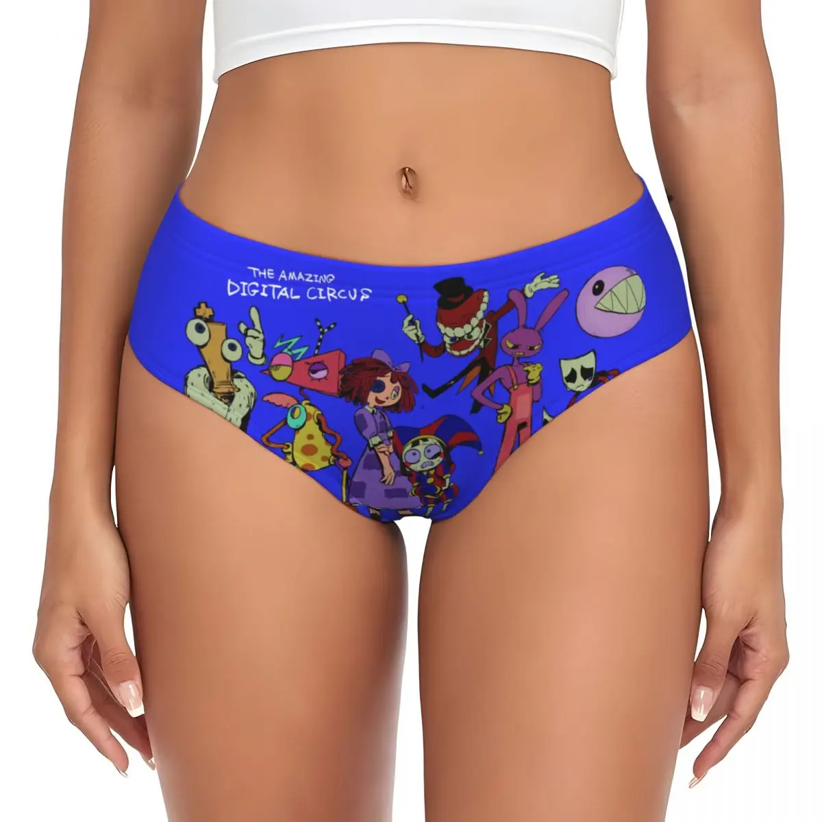 Custom Women's The Amazing Digital Circus Anime Panties Underwear Female Stretch Briefs Underpants