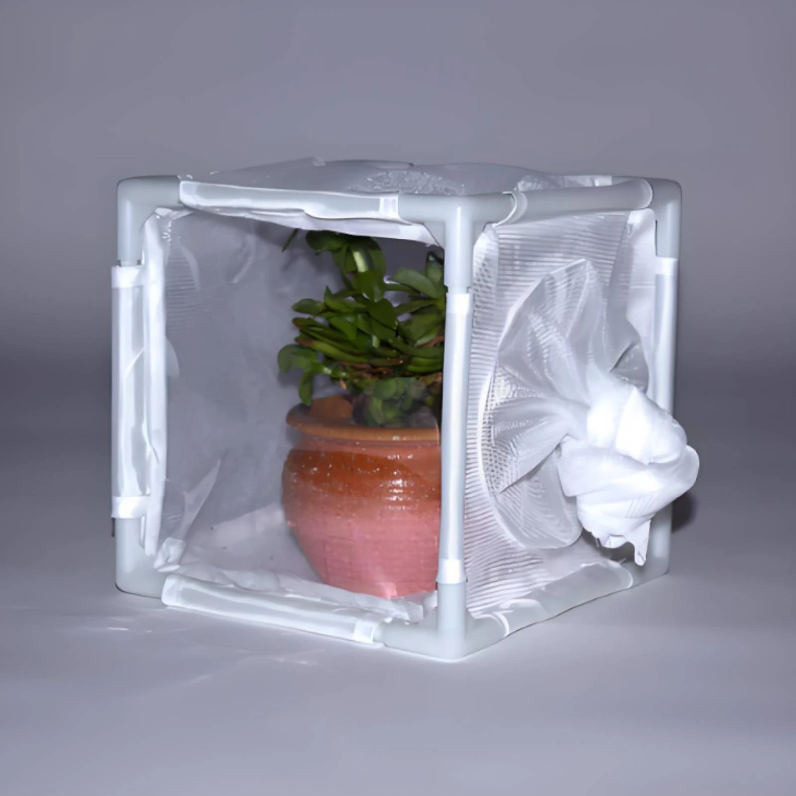Enclosure Circular Opening Cube Enclosure Caterpillar Enclosure Good Ventilation Creature Housing Clear Panels