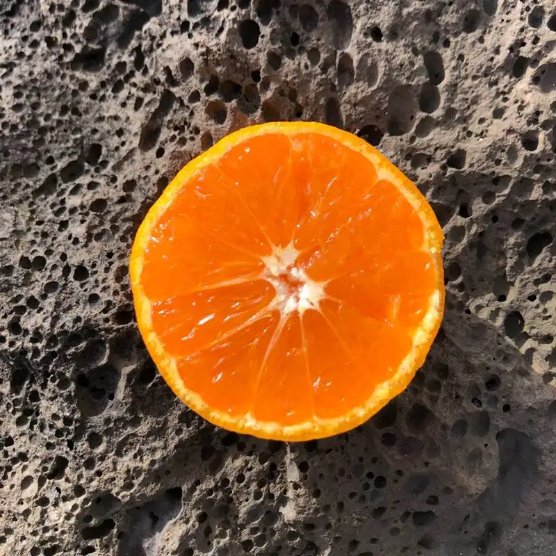 اليوسفي الموسمية Jeju 4.5 كجم ~ مندارين جيجو حلوة وحامضة طازجة يتم شحنها مباشرة من برتقال Jeju Mandarin