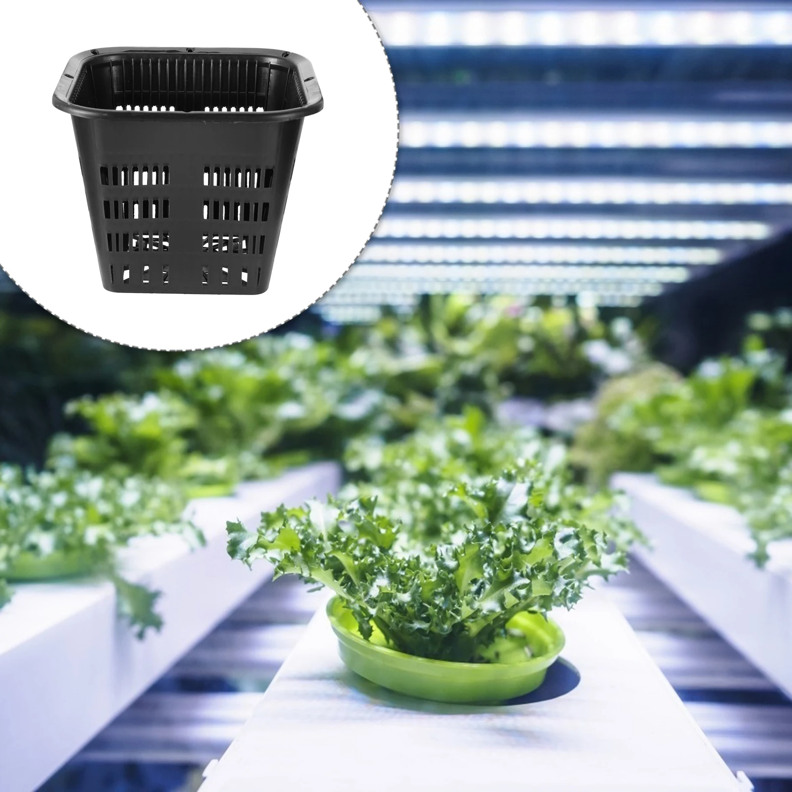 

12Pcs Sun Protection Plastic Root Control Baskets Hydroponic Plant Mesh Basket For Safe Gardening