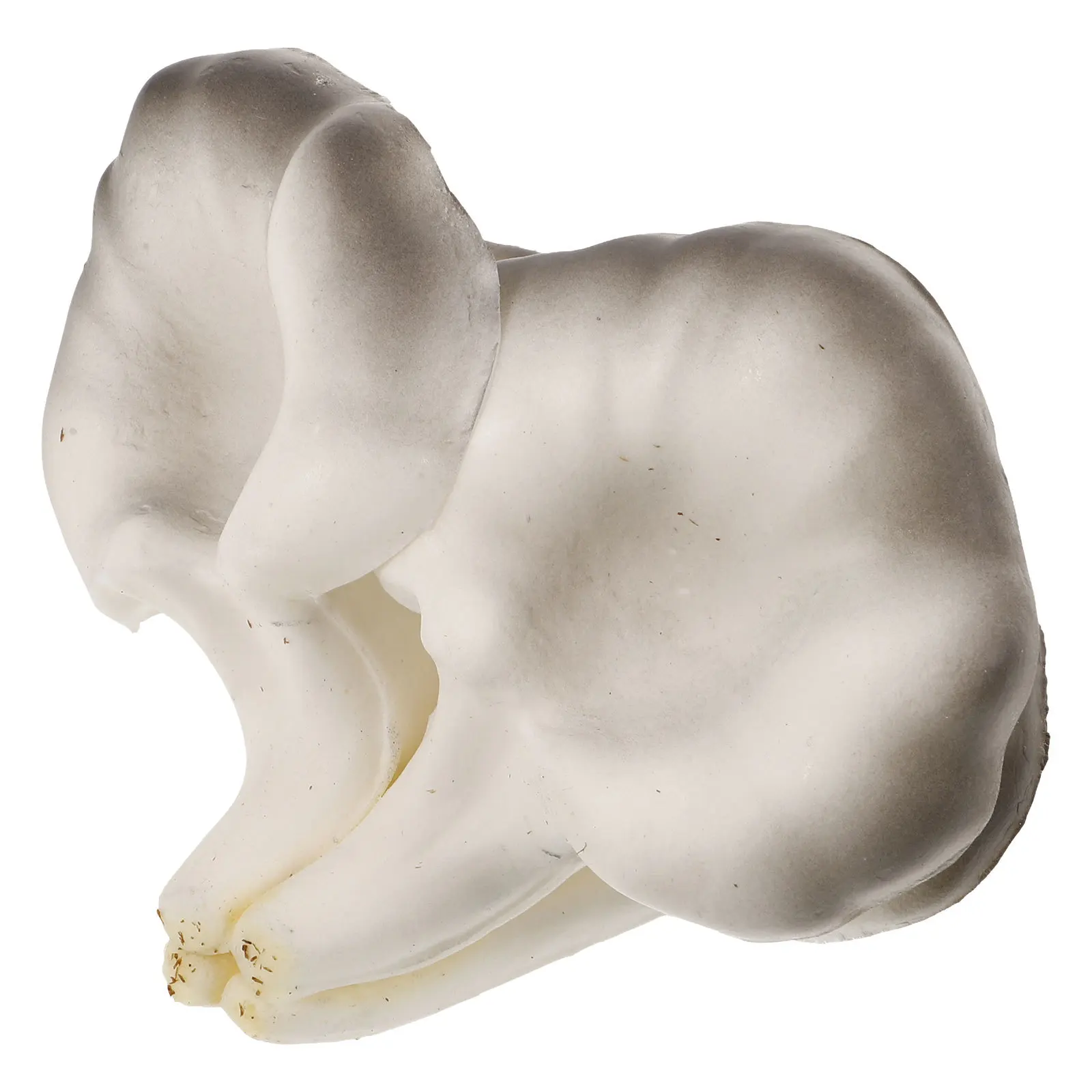 

Eva Oyster Mushroom Decor Large Adorable Garden Craft Vivid Yard Porch Party Decoration Mushrooms Garden Decor