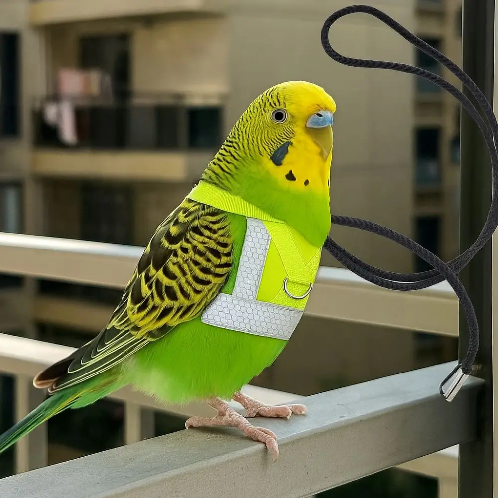 Chaleco para loros, traje ajustable, arnés volador para loros, protección solar de seguridad, arnés para pájaros, chaleco cómodo, traje de vuelo para pájaros, Conures