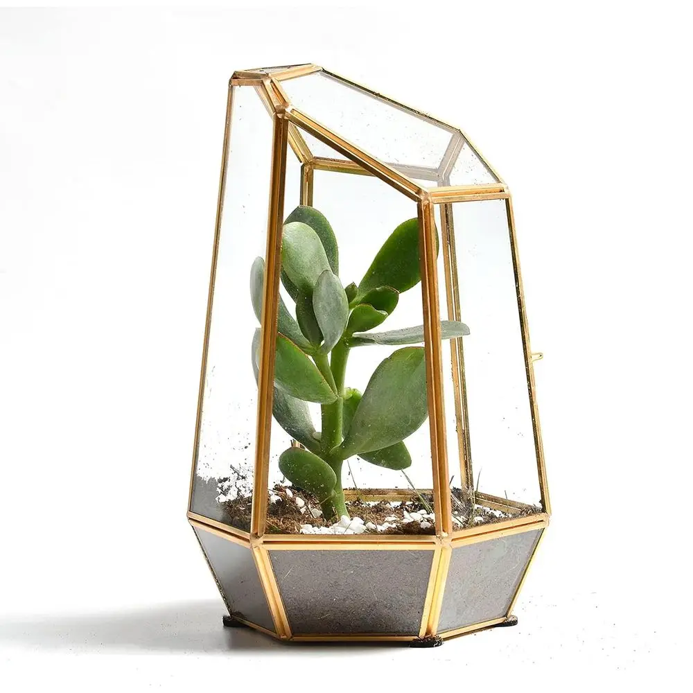 

Золотой геометрический стеклянный террариум с дверцей — прозрачный кашпо нестандартной формы высотой 9,8 дюйма для суккулентов, парней, мох, коктейлей | Крытая Фея Га