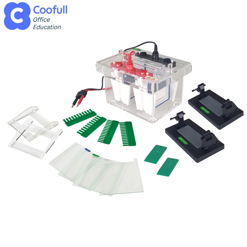 COOFULL Mini-Protein Electrophoresis Cell Protein Electrophoresis Machine