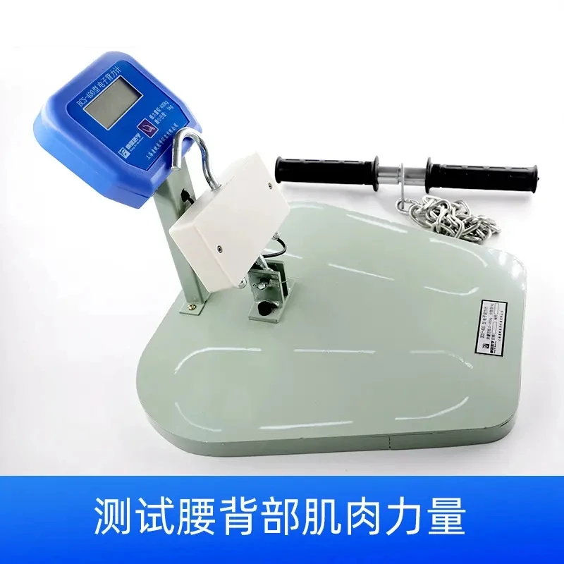 Evaluation of Back and Lumbar Muscle Function and Physical Fitness Testing Rehabilitation with Electronic Backforce Meter