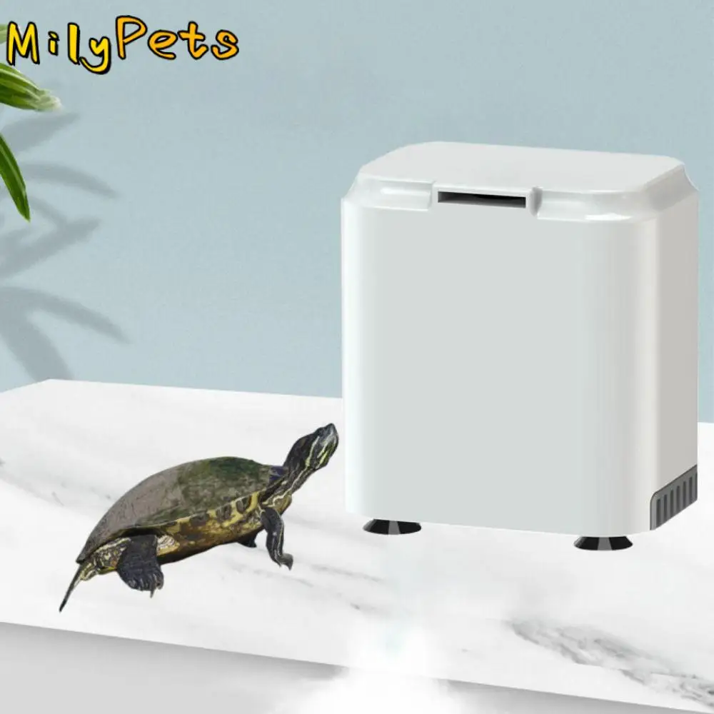 3 in 1 Low Water Level Turtle Filter Plastic Silent Waterfall Turtle Filter Pump 2W Mini Turtle Filter For Fish Tank