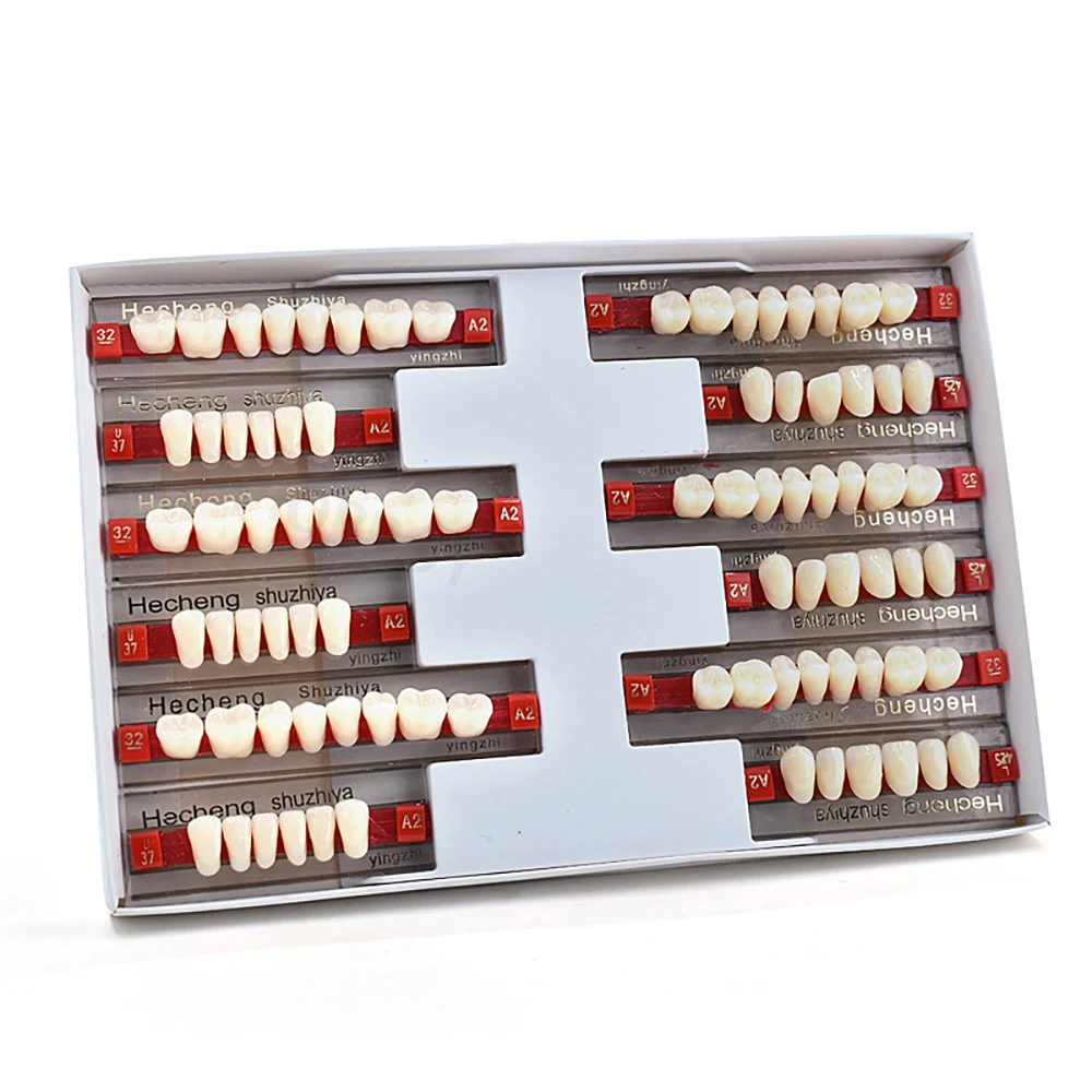 Artificial Tooth Acrylic Resin Temporary False Teeth Upper Lower Denture Tooth Fake Dentures Halloween Horror Prop For Women And