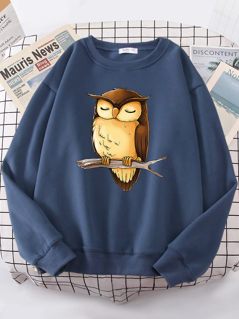 

Woman Sweatshirts Owl Sleeping On A Branch Printed Sweatshirt Female O-Neck Loose Oversize Top Autumn Funny Animal Lady Pullover