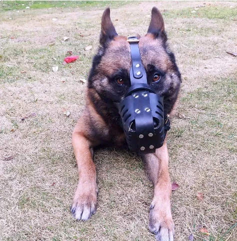 Premium Leather Linen Dog Muzzle for Large Breeds | Anti-Bite Barking Control Adjustable Mask | Waterproof Eco-Friendly Training