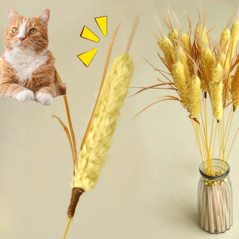 고양이 티저 스틱 장난감 물림 방지 밀짚 벨 새끼 고양이 장난감 깃털 유혹 스틱 고양이 액세서리