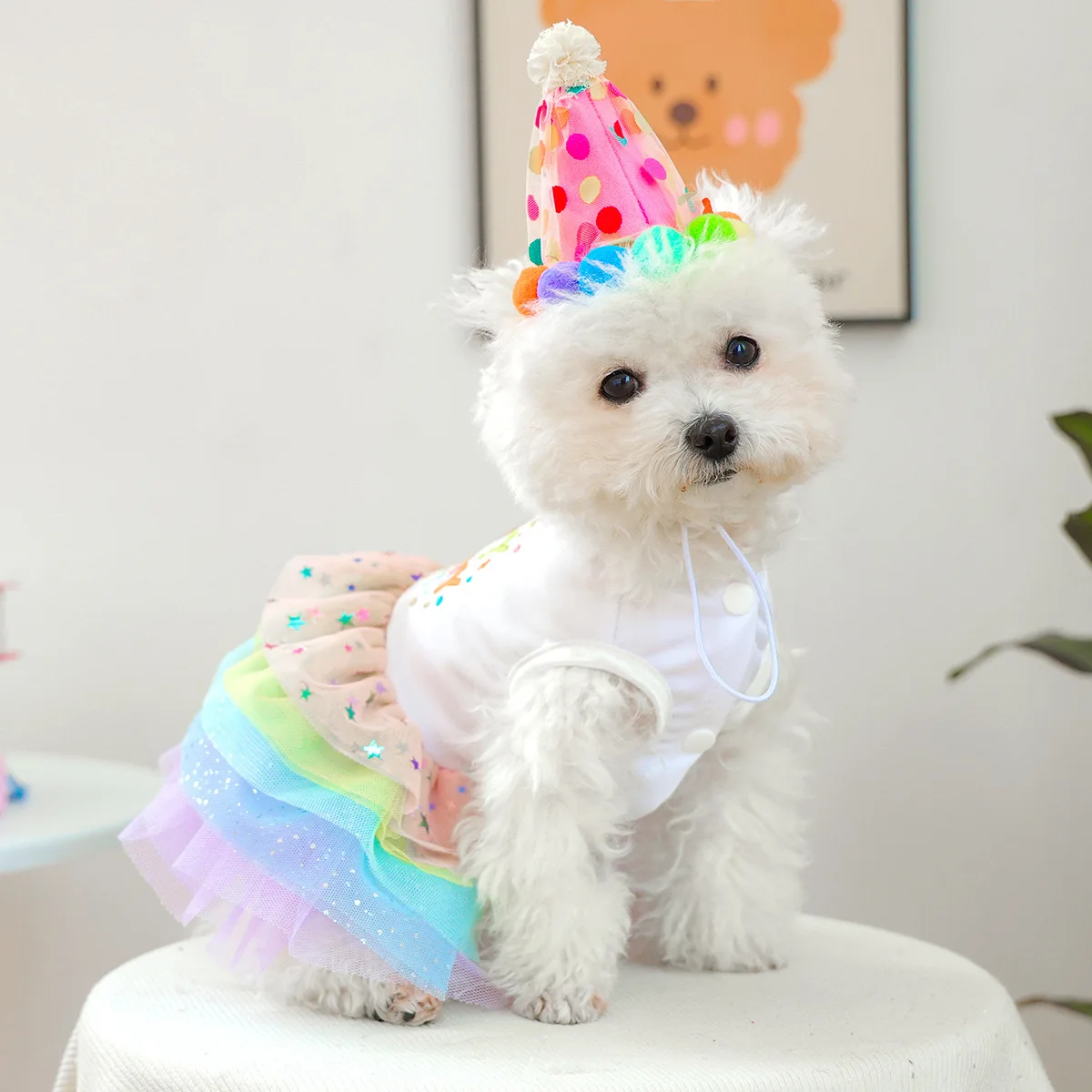 

Pet Circle Small Dog Spring-Summer Dresses Cute Romantic Birthday Dress with Hat Set for Small-Sized Dogs