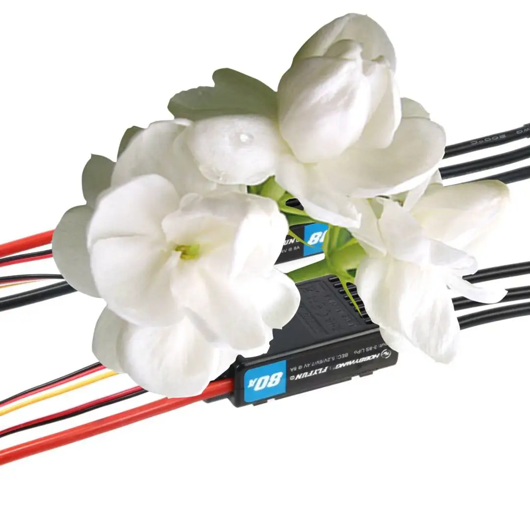 Hobbywing FlyFun V5 80A 110A 160A 30A Mini Speed Controller Brushless ESC 3-6S Lipo with DEO Function for RC Quadcopter
