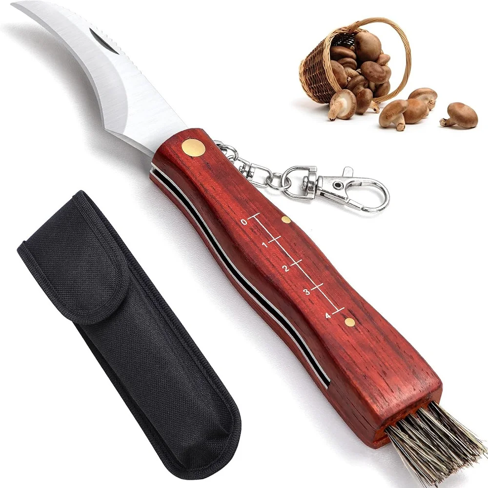 Grady Fung Brand Mushroom Folding Knife - Rosewood Body, Stainless Steel Blade - Ideal for Brushcraft, Outdoor Cutting Tools