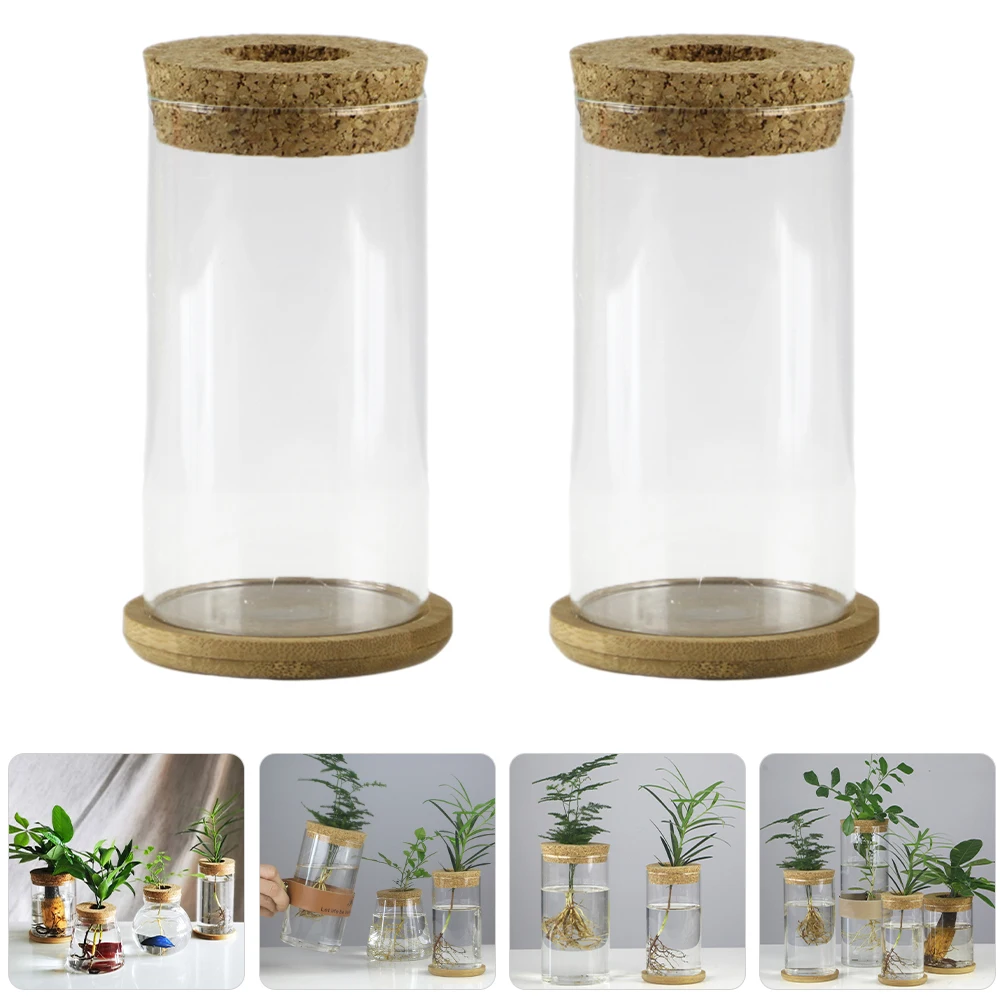 

2 Sets Floral Arrangements Hydroponic Vase Clear Flower Hydroponics Transparent Glass with