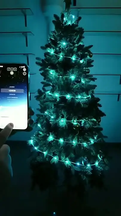 String LED Bluetooth Fairy Lights Dreamcolor RGBIC DIY Party Christmas Tree Lights Wedding Decor Garland USB Lamp 15M/10M/5M/2M