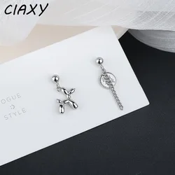 CIAXY Silver Color Letter Brand Puppy Earrings for Women Asymmetric Tassel Chain Balloon Dog Earring Creative Jewelry