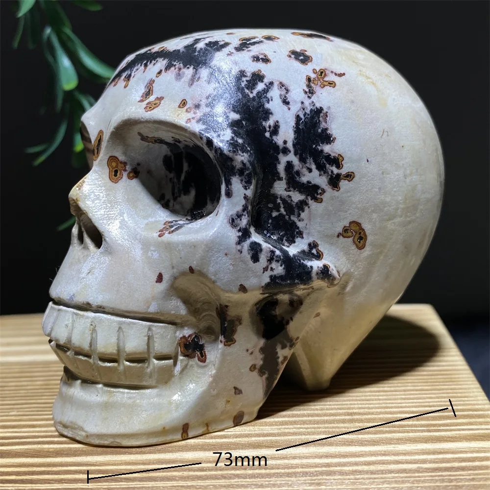 Picture Jasper Carved  Skulls Druzy Natural Stone  Crystal Cranium Healing Gemstones Geode  Witchcraft Home Decoration Modern