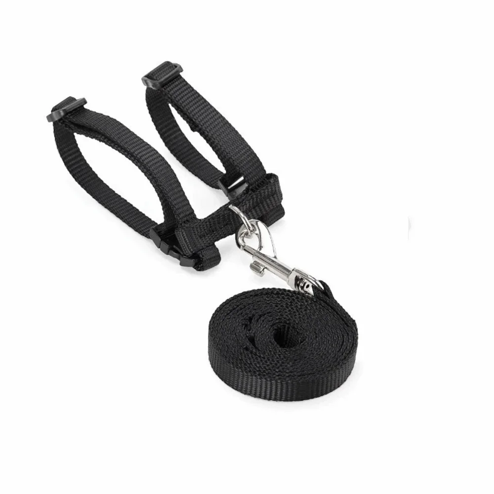 

Skin Friendly Elastic Ferret Hoodie Cozy Soft Ferret Pullover Thick Fleece Stylish Drawstring Hamster Coat Daily Party