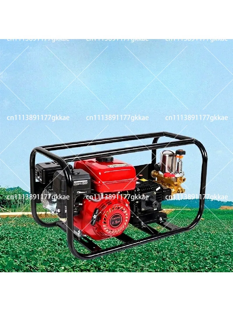 170F Powered High Pressure Sprayer 4 Stroke Agricultural Garden Fruit Tree Plunger Pump